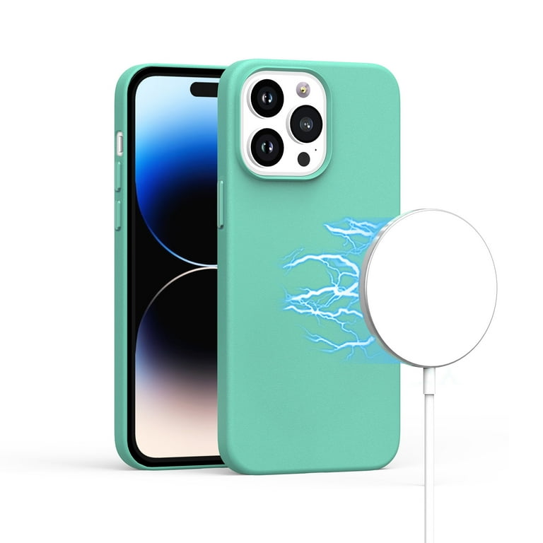 For Apple iPhone 11 (6.1