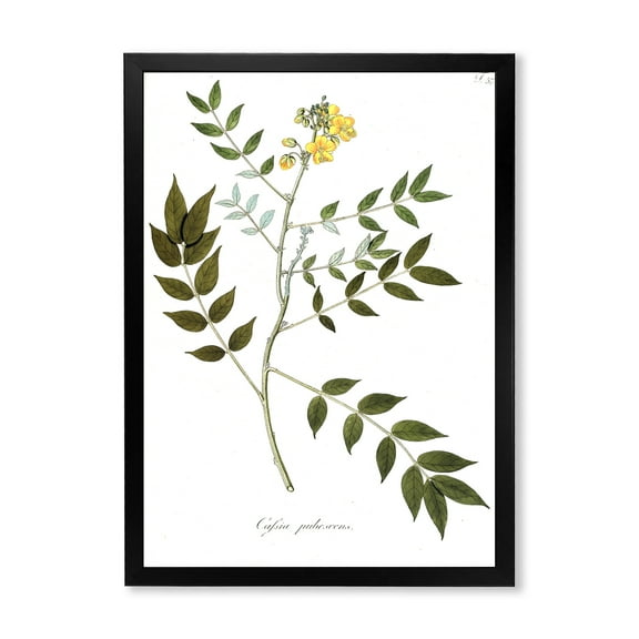 Designart 'Ancient Botanicals XVIII' Traditional Framed Art Print