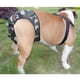 thumbnail image 2 of Pantalones fisiológicos para perros cachorros, pantalones sanitarios para perros, pañal camuflaje_L, 2 of 6