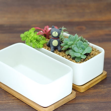 RENACLIPY White Rectangular Ceramic Planter Design Indoor Outdoor Small Plant Pot 1 Piece