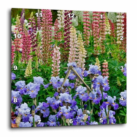 3 drose, Usa, Oregon. Garden Blooming with Bearded Iris and Russell Lupine., 10 x 10 Wall Clock 3 drose, Usa, Oregon. Garden Blooming with Bearded Iris and Russell Lupine., 10 x 10 Wall Clock 7