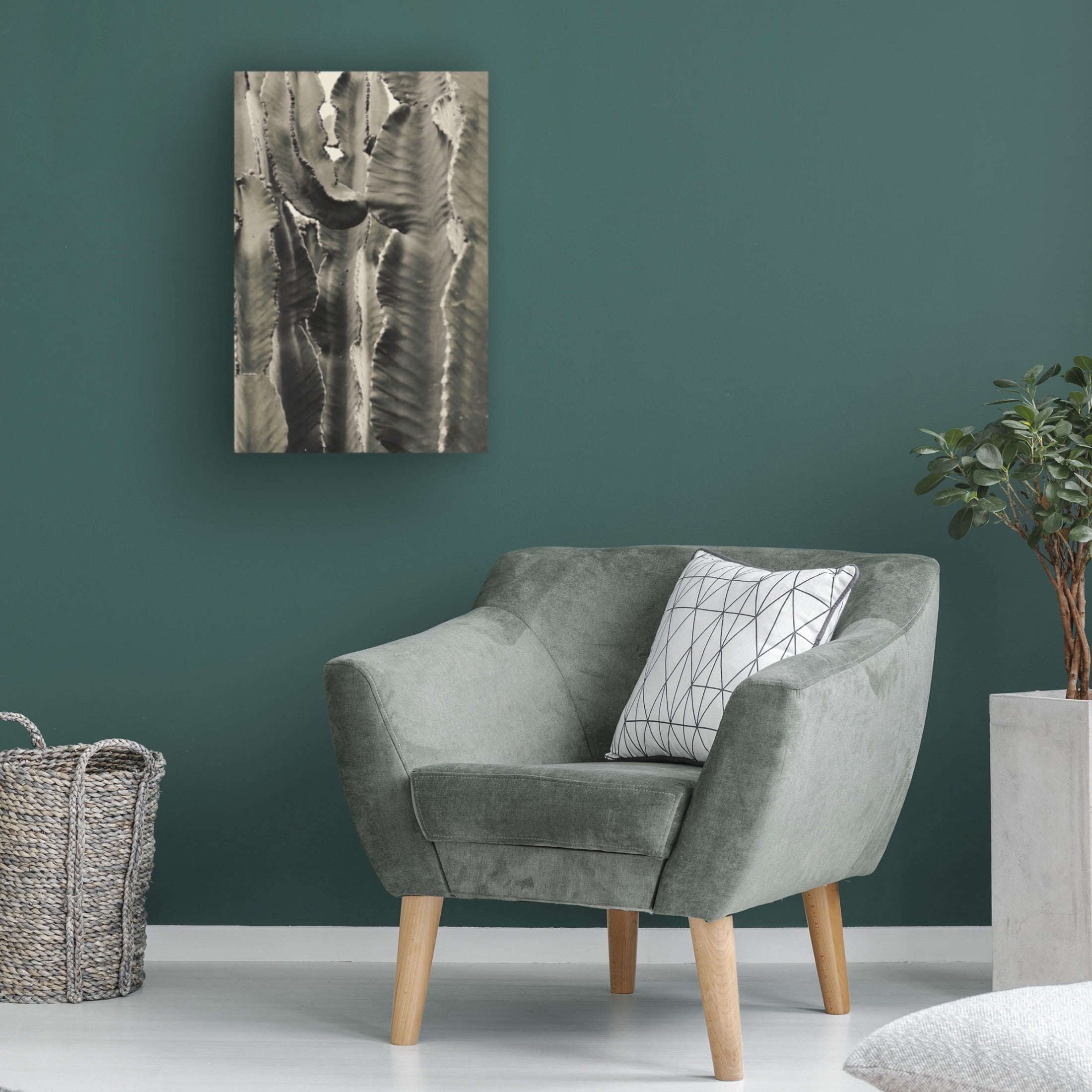 Trademark Fine Art Pictufy Studio III Cactus 2 Canvas Wall Art