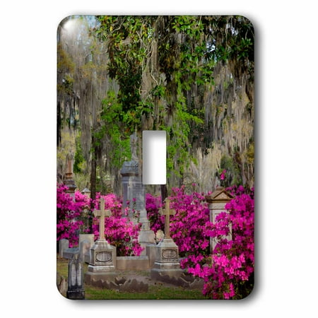 3dRose USA, Georgia, Savannah, Azaleas and headstones in Bonaventure Cemetery, Double Toggle Switch