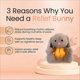 thumbnail image 1 of Baby Breathing Bunny Baby Soothing Bunny Plush Doll Toy Baby Kids Soothing Music Sleeping Companion, 1 of 5