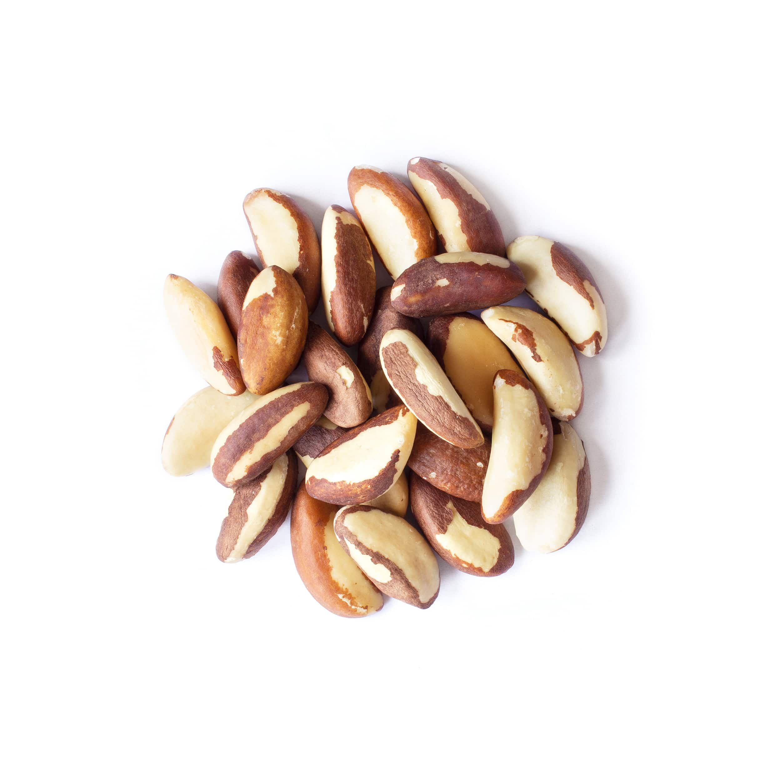 Food to Live, Organic Brazil Nuts, 18 Pounds, Raw