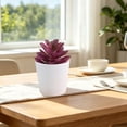 thumbnail image 6 of Fake Plants Realistic Lifelike Artificial Potted Plants Small Plastic Mini Plants with Pot for Home Office Desk Table Kitchen Indoor Decor 3.54 X 2.36 X 2.36 Inches 1 Piece, 6 of 6