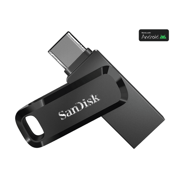 SanDisk Ultra Dual Drive Go - USB flash drive - 256 GB - USB 3.1 Gen 1 / USB-C - Black
