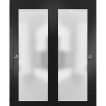 Sliding Closet Frosted Glass Bypass Doors 60 x 96 inches with Hardware | Planum 2102 Black Matte | Sturdy Top Mount Rails Moldings Trims Hardware Set | Modern Wood Solid Bedroom Wardrobe Doors