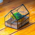 thumbnail image 2 of NCYP Handmade Mini Closed House Shape Terrarium with Lid and Latch, Terrarium Only, 2 of 13
