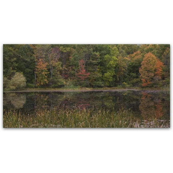 Trademark Fine Art "October on the Pond" Canvas Art by Kurt Shaffer