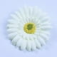 thumbnail image 4 of 10 horquillas decorativas con diseño de girasol y flores para el pelo, accesorios para el pelo de playa para mujeres y niñas (colores variados)., 4 of 6