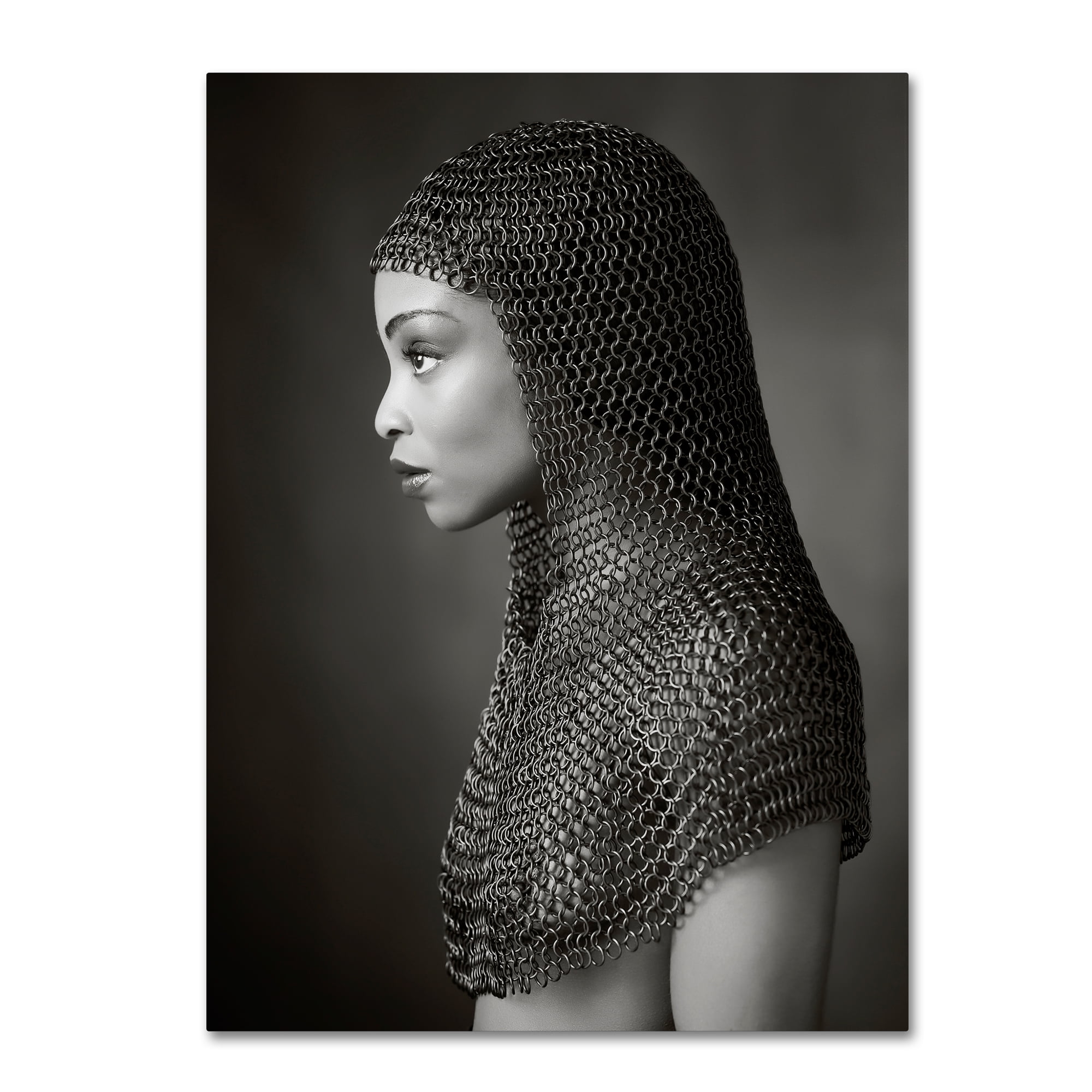 Trademark Fine Art 'Lady Chainmail' Canvas Art by Ross Oscar