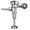Multi, variant on Sloan Royal 186-1 Urinal Flush Valve, 1.0 Gpf