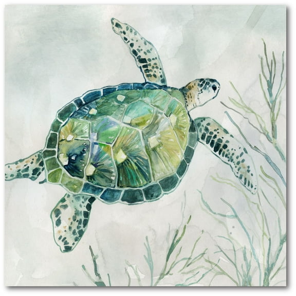 Courtside Market Sea turtle I 16"x16" Gallery-Wrapped Canvas Wall Art