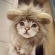 thumbnail image 2 of Traje de mascota para vacaciones Gato Sombrero de Halloween Perro Traje de Navidad - Traje de marinero para mascotas, Sombrero de león, Sombrero de Navidad oso de fresa  Juguete, 2 of 5