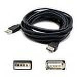 AddOn 6.0ft USB 2.0 (A) to USB 2.0 (B) Adapter - USB cable - 6 ft