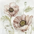 thumbnail image 2 of Robinson, Carol 20x20 White Modern Wood Framed Museum Art Print Titled - Washed Botanical IV, 2 of 4