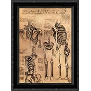 Drawing of the Torso and the Arms 19x24 Black Ornate Wood Framed Canvas Art by Da Vinci, Leonardo