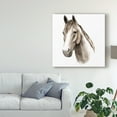 thumbnail image 3 of Trademark Fine Art 'Western Animal Study II' Canvas Art by Grace Popp, 3 of 4