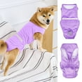 thumbnail image 6 of Pnellth Pet Recovery Clothes Breathable Adjustable Dog Surgery Recovery Suit Anti-licking Protection Pet Supply, 6 of 8
