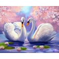 thumbnail image 1 of Swans Paint by Numbers, 1 of 7