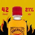 thumbnail image 2 of Fireball Cinnamon Whiskey Party Bucket, 50ml Bottles, 20 Count, 21% Alcohol, 2 of 10