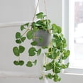 thumbnail image 7 of AYktou Artificial Hanging Plants Potted, Artificial Flower Simulation Fern Plants Home Desktop Ornaments Hanging Baskets Potted Plants Wall Hanging Vines for Room Garden Indoor Outdoor Decor, 7 of 7