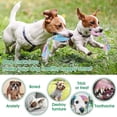 thumbnail image 5 of Juguetes interactivos BRILLAR para masticar cachorros de goma y cuerda de algodón, 5 of 5