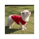 thumbnail image 1 of 1pcs Pet Clothes For Small Medium Dogs Solid Cotton T-Shirt Dogs Accessories Pet Supplies Cat Vest Shirts Pets Outfits, 1 of 4