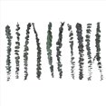 thumbnail image 1 of 10Pack Natural Dried Eucalyptus Bundle,Preserved Fresh Eucalyptus Branches for Flower Arrangements W, 1 of 5