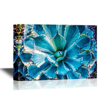 Amare Wall - wall26 Floral Canvas Wall Art - Sharp Pointed Agave Plant Leaves - Gallery Wrap Modern Home Decor | Ready to Hang - 32x48 inches
