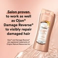 thumbnail image 3 of Suave Professionals Damage Repair Shampoo Coconut Oil Infusion, 12.6 oz, 3 of 12