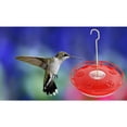 thumbnail image 4 of Alimentador de Colibrí para Exterior, Interior, Jardín, Patio, Alimentador de Semillas para Pájaros, Alimentador de Agua, Limpieza rojo CUTICAT alimentador de colibrí, 4 of 6