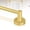 Brass Gold, variant on Gold Magnetic Curtain Rod for Door:Magnet Curtain Rods for Classroom Whiteboard,Small Adjustable Magnetic Towel Bar,Tool-Free French Magnet Pole with Leather Protective Cover No Drilling 16-28"