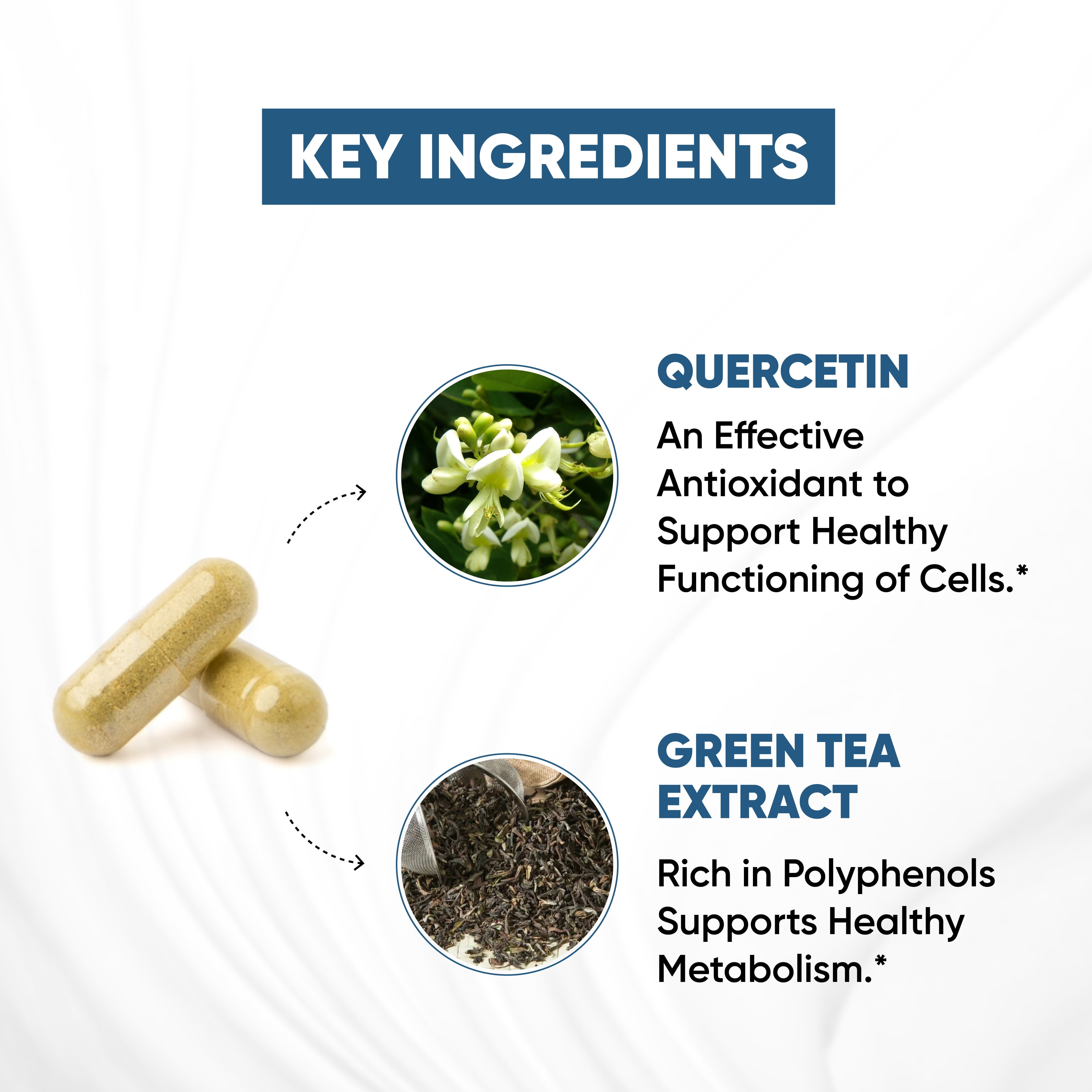 Sandhu's BioZnQ, 900mg of Quercetin & Green Tea Extract with 22mg of Zinc, Immune Support, 90 Ct