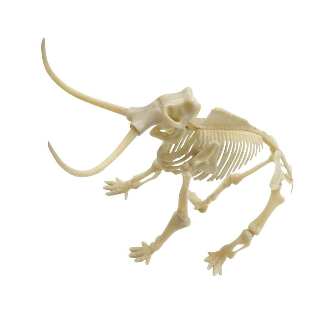 LYUMO High Simulation Plastic Animal Model Lifelike Dinosaur Skeleton