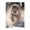 500 Pieces, variant on 500-Piece Wooden Jigsaw Puzzle for Adults - Lynx Running Winter Snow , Fun & Relaxing Family Game, No-Dust Interlocking Pieces, Perfect Wall Decor & Holiday Gift