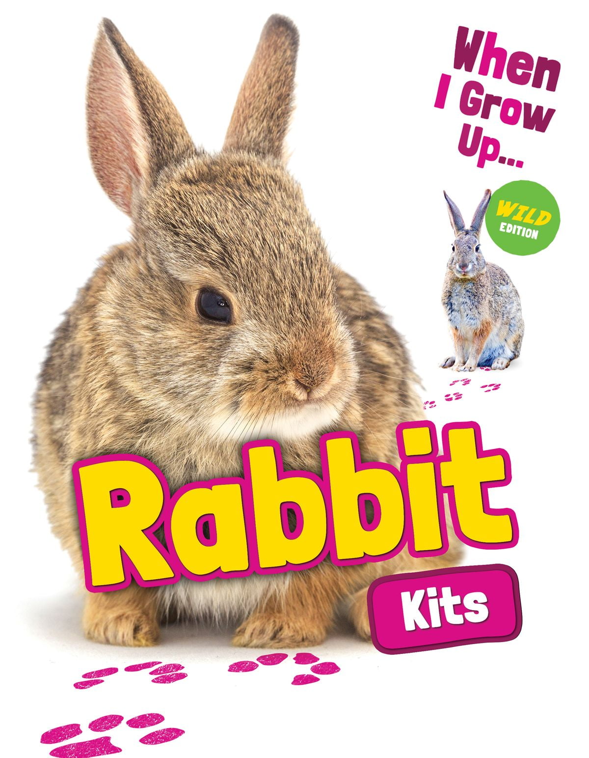 Rabbit Kits eBook