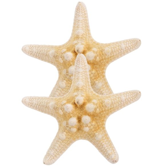 WEUVEB 2Pcs Elegant Beige Star Hair Clip Sea Star Hairpin Hair Decor for Weddings and Events