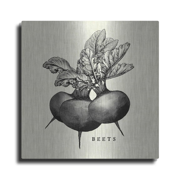 Luxe Metal Art 'Linen Vegetable BW Sketch Beets' by Studio Mousseau, Metal Wall Art, 24"x24"