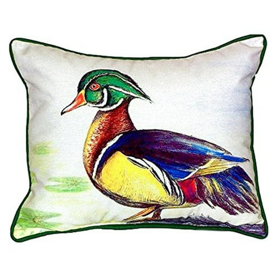 Male Wood Duck Script Small Indoor/Outdoor Pillow 11x14