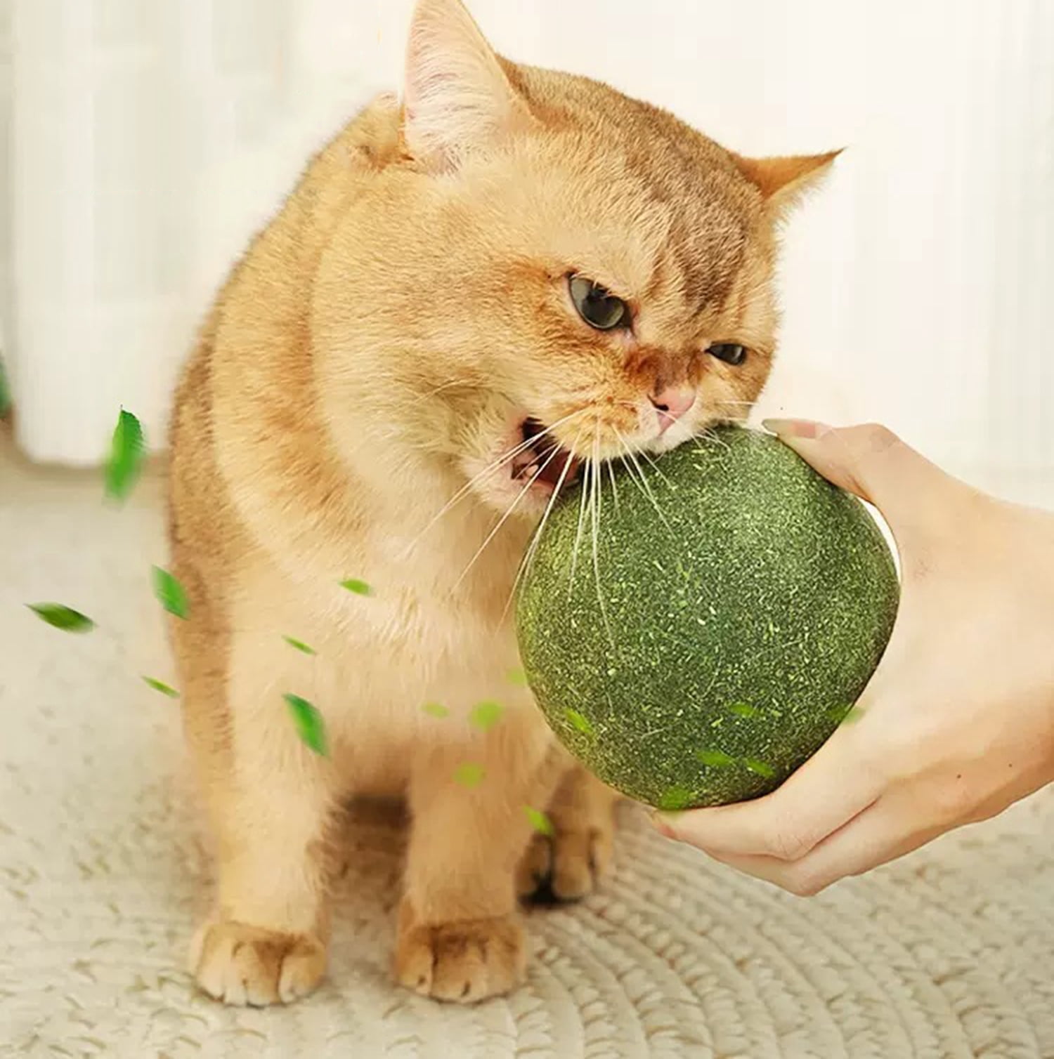 Jumbo Catnip Ball Toy with Mint Teeth Cleaning Chew