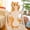 Orange, variant on Long Cat Pillow Plush 26 Inch Gray Soft Cuddly Cat Body Pillow for Bed Sofa Decor