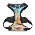 thumbnail image 5 of Gaeub Beach Starfish Shell Gaeub Beach Starfish Shell No Pull Dog Harness, Secure and Adjustable Pet Vest for Outdoor Activities -, 5 of 9