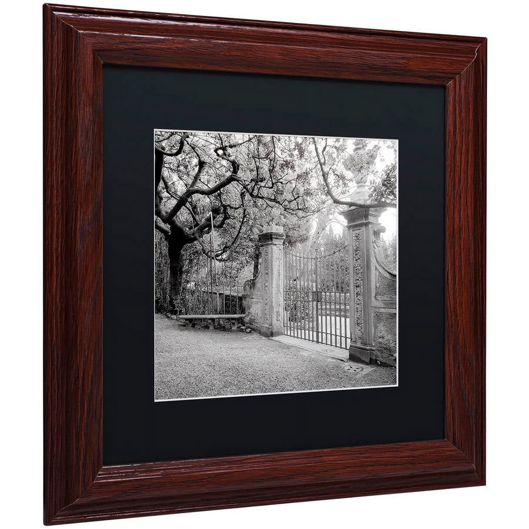 Trademark Fine Art "Firenze I" Canvas Art by Alan Blaustein, Black Matte, Wood Frame