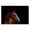 Horse Portrait Rustic, variant on Stupell Industries Traditional Vintage Cow In Pasture Canvas Art, 20 x 16, by Villager Jim