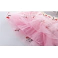 ZAROYEAX Embroidery Tulle Tutu Skirt With Heart Cherry Pineapple For zaroyeax-embroidery-tulle-tutu-skirt-with-heart-cherry-pineapple-for