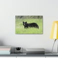 thumbnail image 3 of Black Bear Hunting Black Bear on Hunt Print Animal Wall Art Wildlife Canvas Prints Wall Art Ready to Hang Unframed, 3 of 18