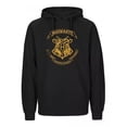 thumbnail image 1 of Sudadera Harry Potter Hogwarts Hoodie Hombre Mujer, 1 of 5