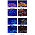 thumbnail image 4 of 4X Filtre d'Objectif d'Aquarium Réservoir de Poissons Téléphone Appareil Photo 6 en 1 Objectif Macro Jaune Filtre d'Objectif Récif Corallien Photographie d'Aquarium, 4 of 4